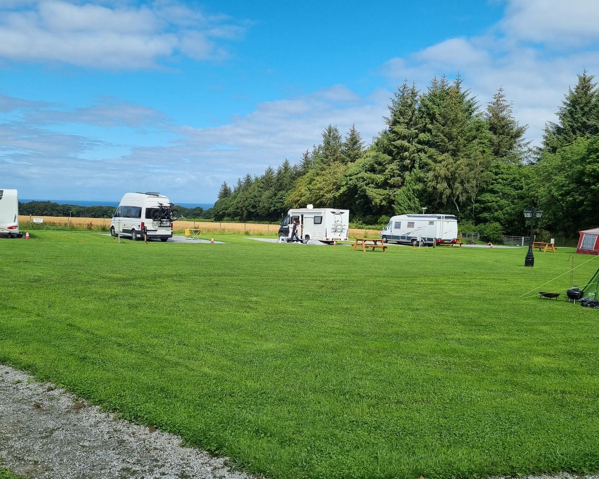 Caravans and motorhomes on their pitches at Greencraig, with the treeline behind