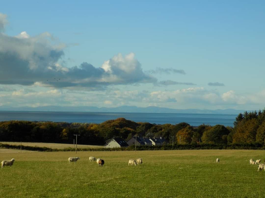 Looking down to the coast