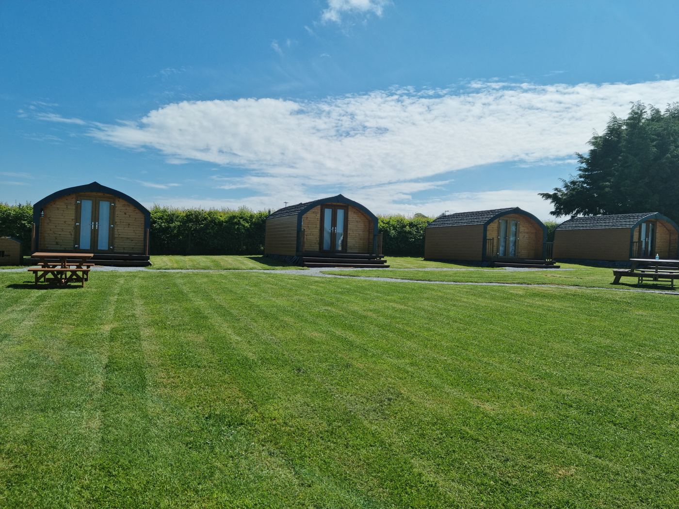 The row of timber glamping pods at Greencraig under a blue sky