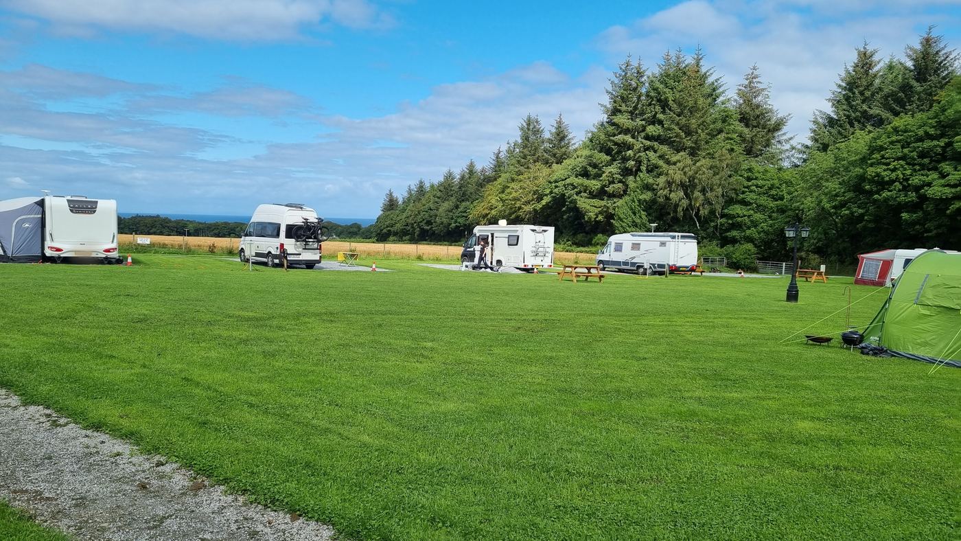 Caravans and motorhomes pitched on the grass at Greencraig with the treeline behind